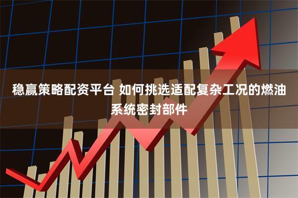 稳赢策略配资平台 如何挑选适配复杂工况的燃油系统密封部件